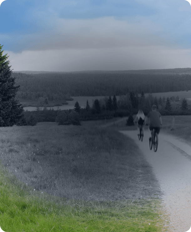 Comment reconnaître la DMLA ?