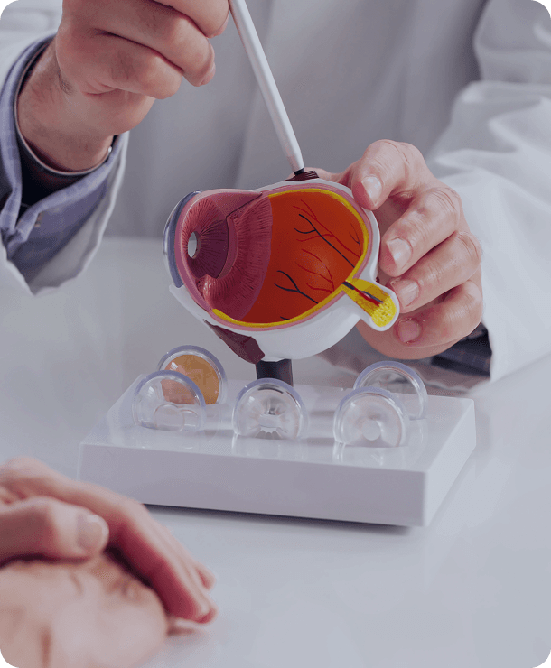 La santé visuelle au cœur de notre expertise